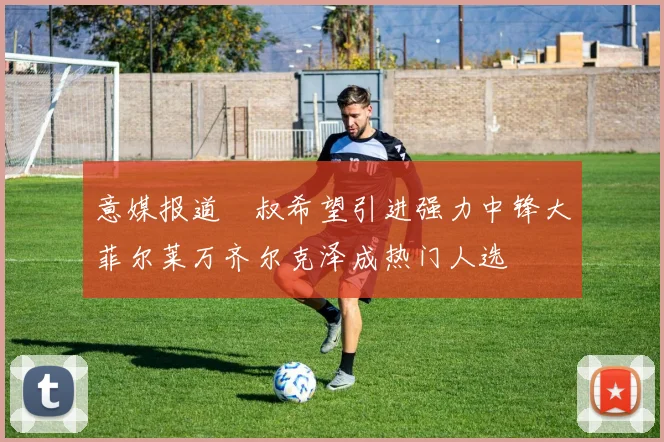 意媒报道囧叔希望引进强力中锋大菲尔莱万齐尔克泽成热门人选