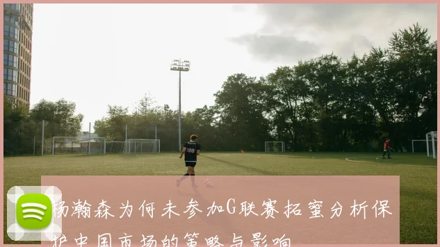 杨瀚森为何未参加G联赛拓蜜分析保护中国市场的策略与影响